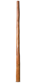 CrookedStixz Didgeridoo (AH382)